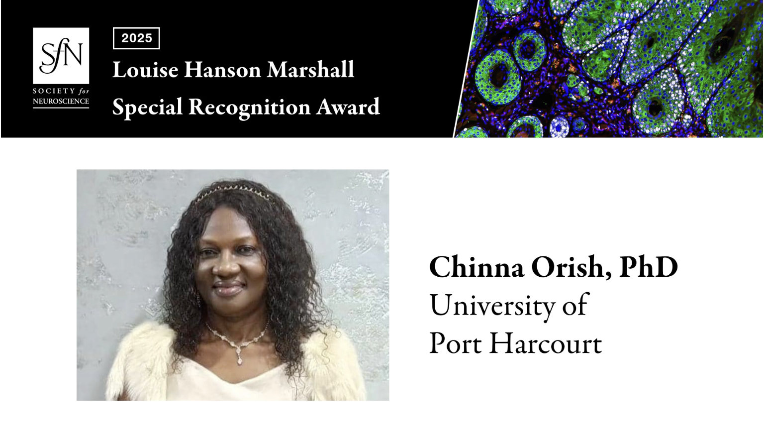 Screenshot 2026-02-19 at 07.19.16